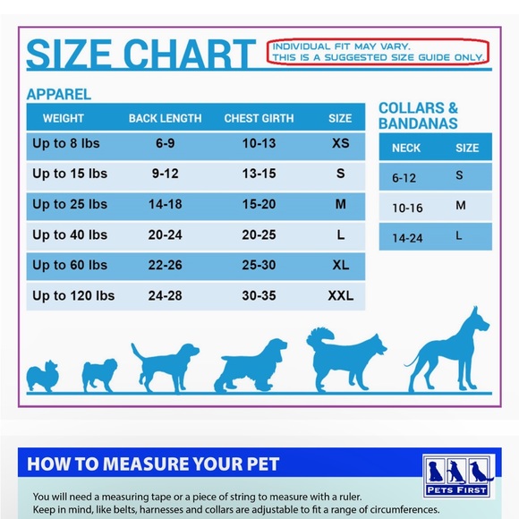 NBA GOLDEN STATE WARRIORS JERSEY - Picture 5 of 5